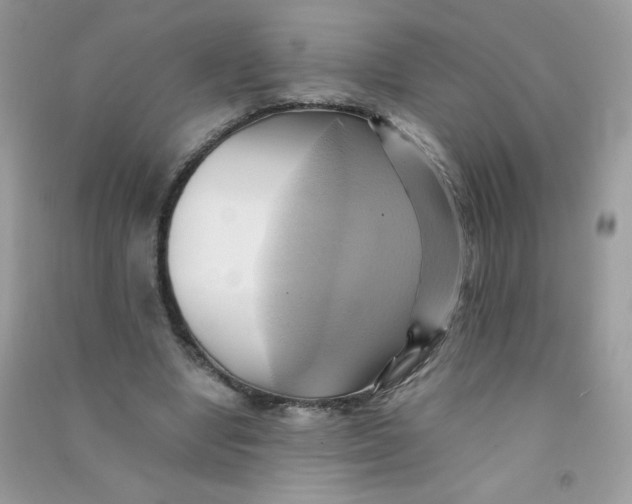 X0000090780442200708172131