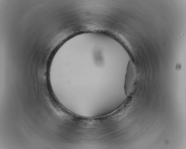 X0000090780443200708172131