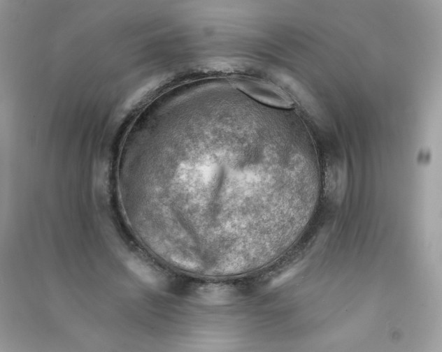 X0000090780444200708172131