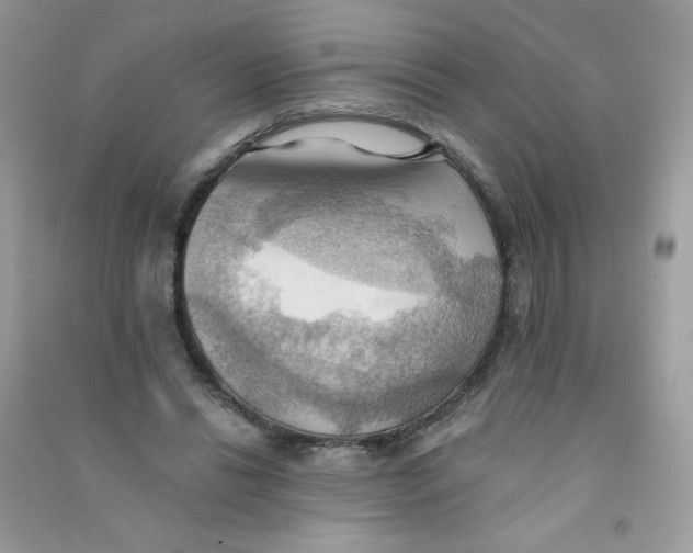 X0000090780446200708172131
