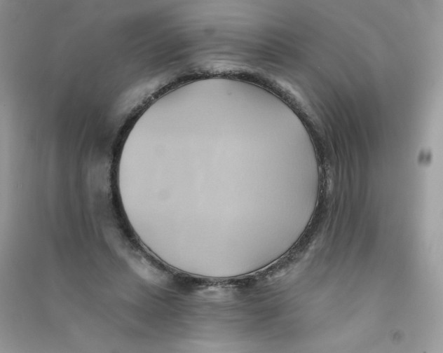 X0000090780447200708172131