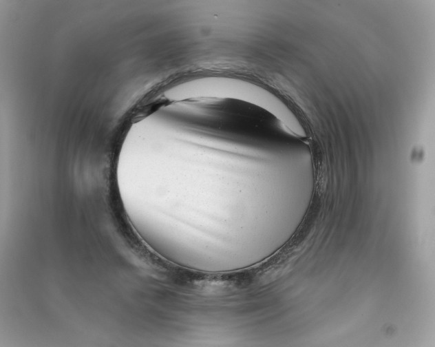 X0000090780448200708172131