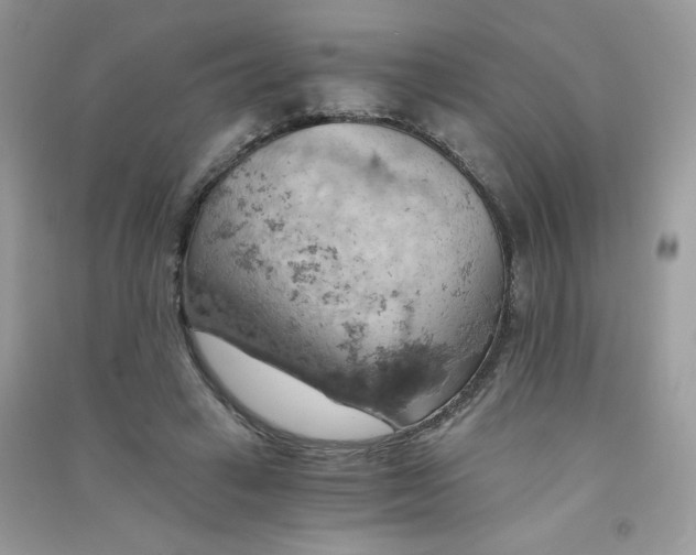 X0000090780449200708172131