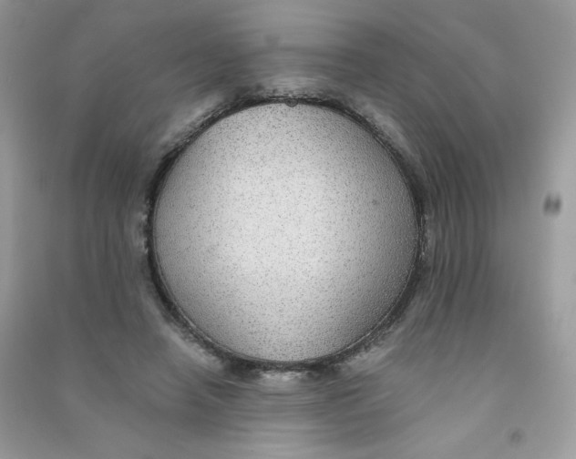X0000090780450200708172131