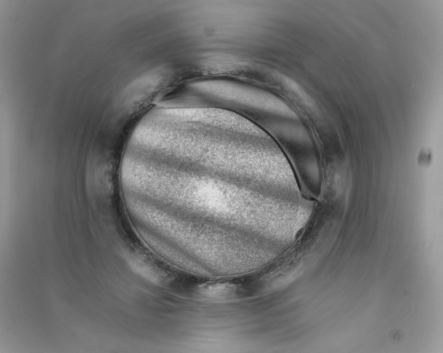X0000090780452200708172131