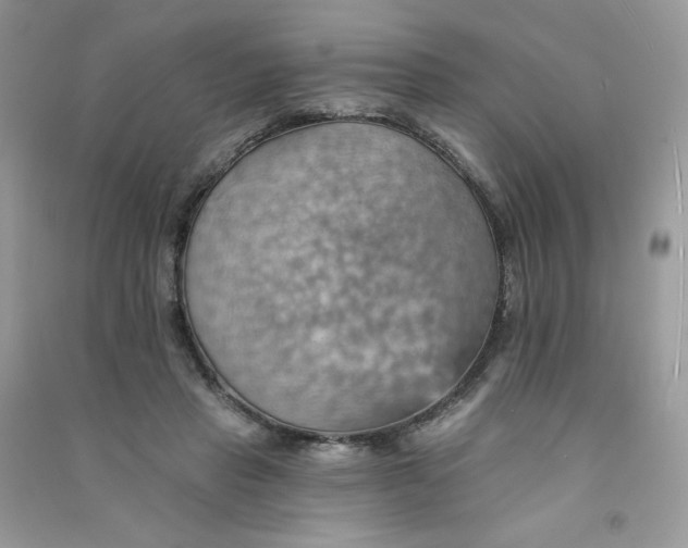 X0000090780453200708172131