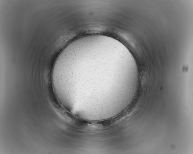 X0000090780455200708172131