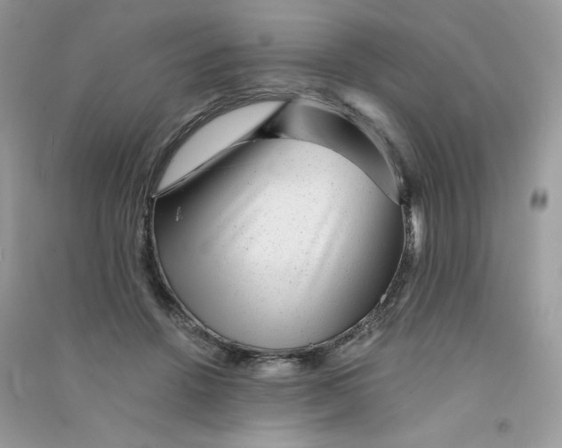 X0000090780456200708172131