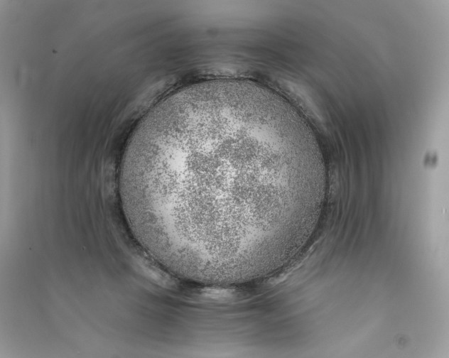 X0000090780457200708172131
