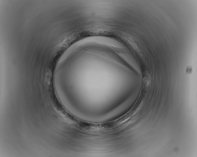 X0000090780458200708172131