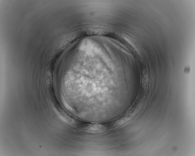 X0000090780459200708172131