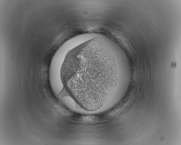X0000090780461200708172131