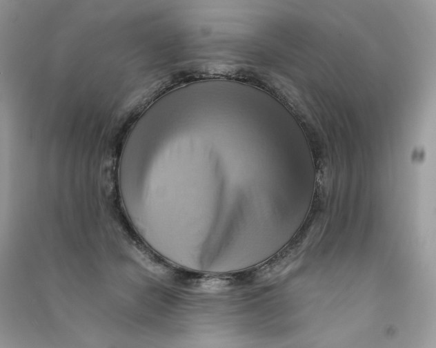 X0000090780462200708172131