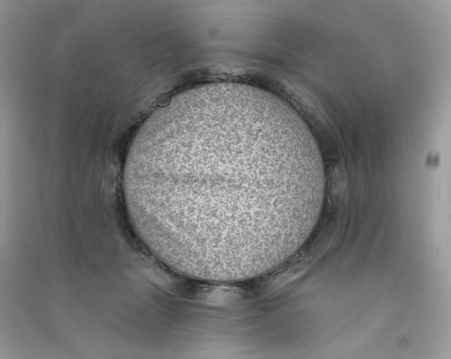 X0000090780463200708172131