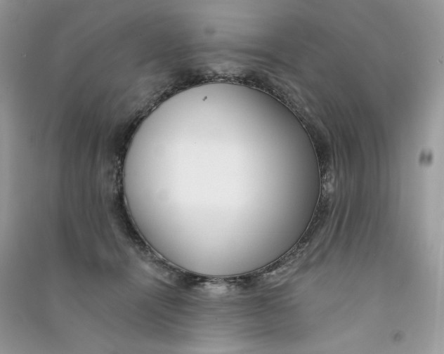X0000090780464200708172131