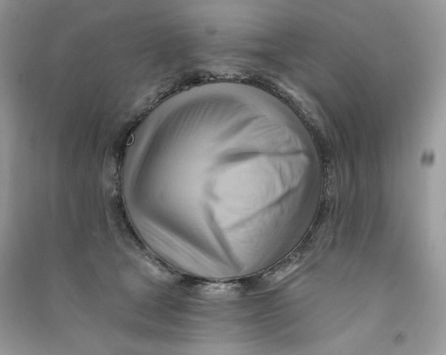 X0000090780465200708172131