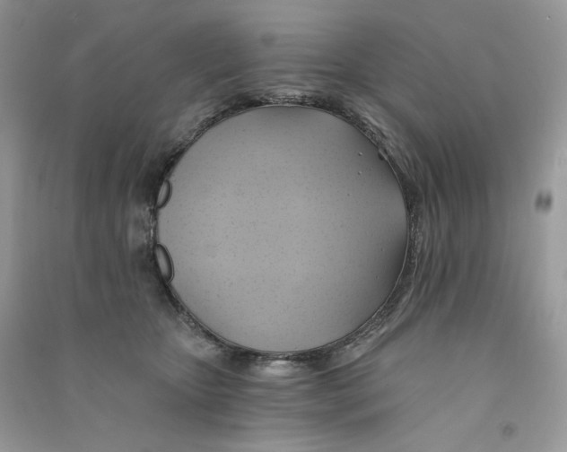 X0000090780467200708172131
