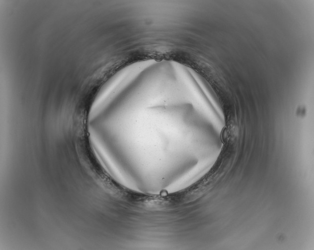X0000090780468200708172131