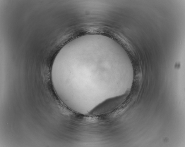 X0000090780469200708172131