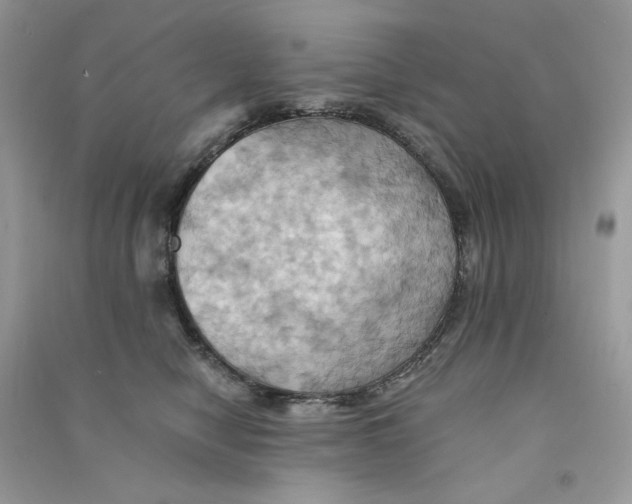 X0000090780470200708172131