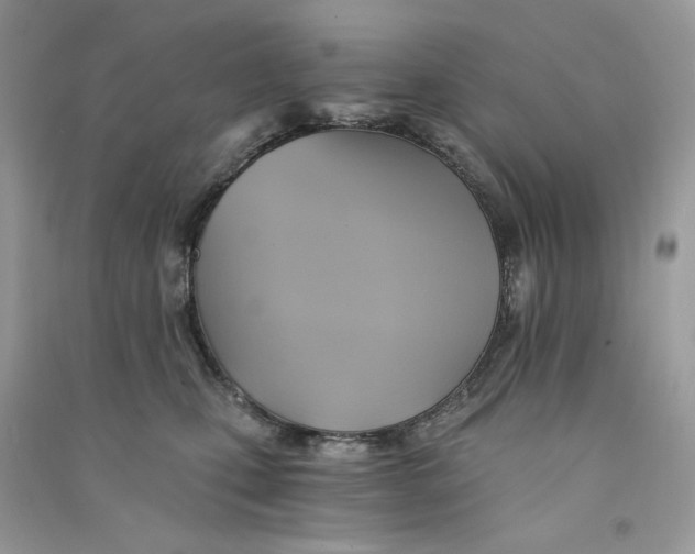 X0000090780471200708172132