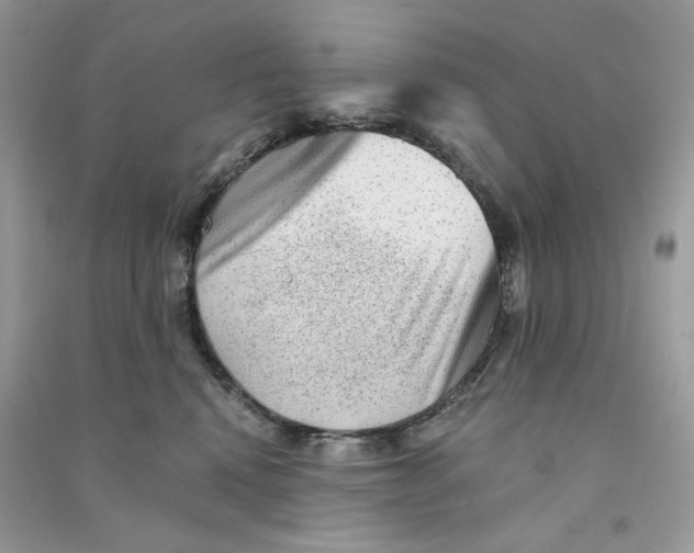 X0000090780472200708172132