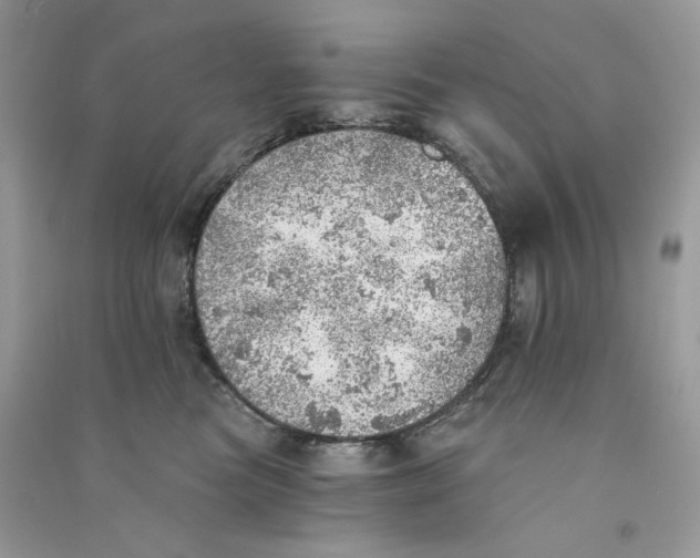 X0000090780473200708172132