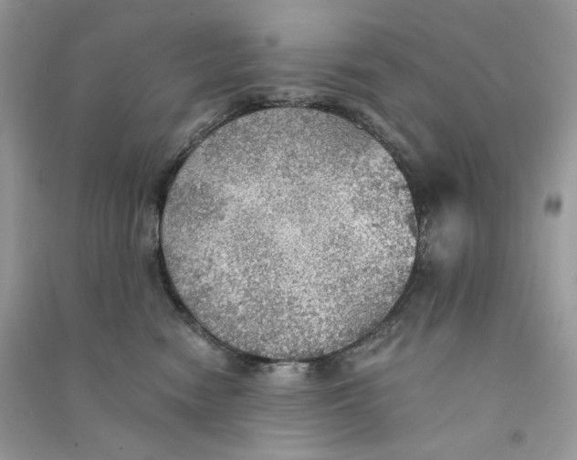 X0000090780474200708172132