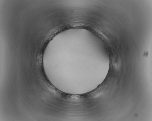 X0000090780475200708172132