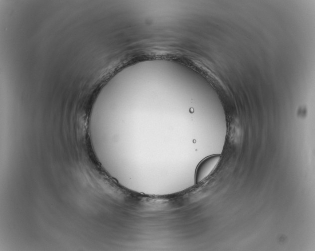 X0000090780476200708172132
