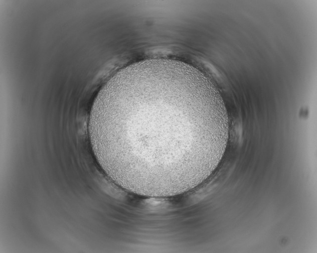 X0000090780477200708172132