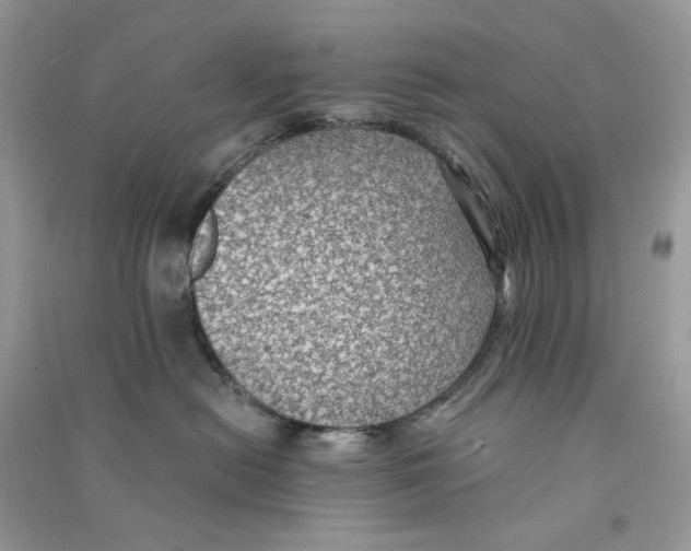 X0000090780478200708172132