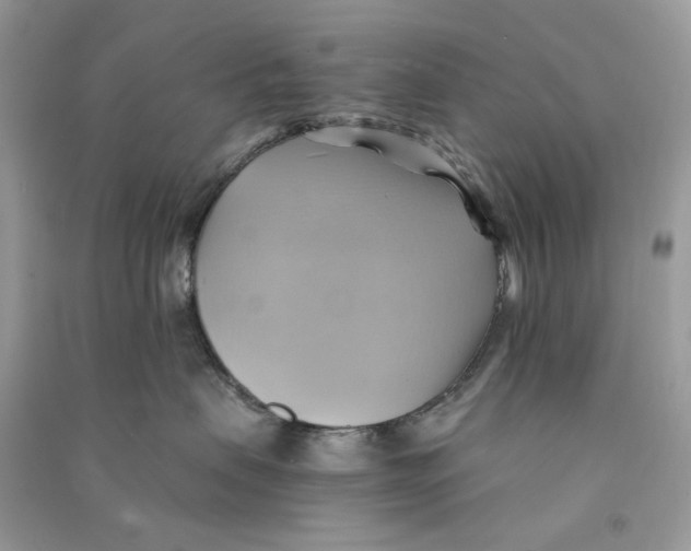 X0000090780479200708172132