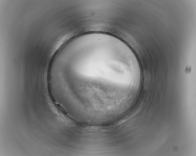X0000090780482200708172131