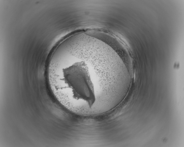 X0000090780483200708172131