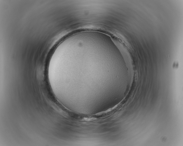X0000090780484200708172131