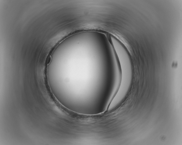 X0000090780485200708172131