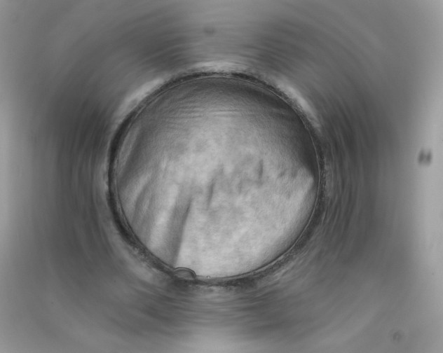 X0000090780486200708172131