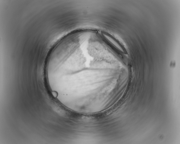X0000090780487200708172131