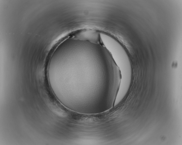 X0000090780488200708172131