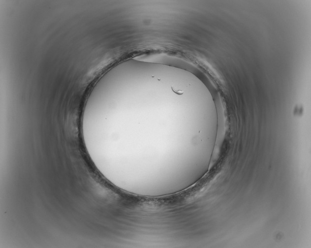 X0000090780489200708172131