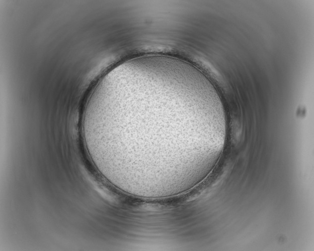 X0000090780490200708172131