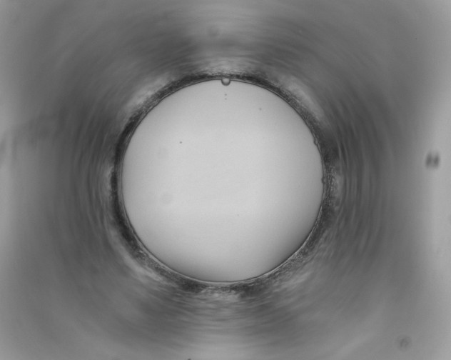 X0000090780491200708172131