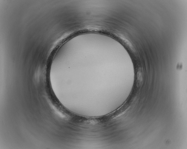 X0000090780492200708172131