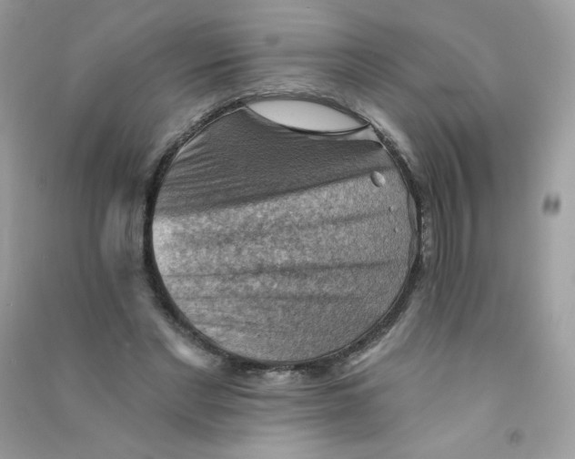 X0000090780493200708172131