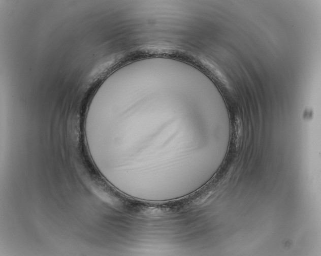 X0000090780494200708172131