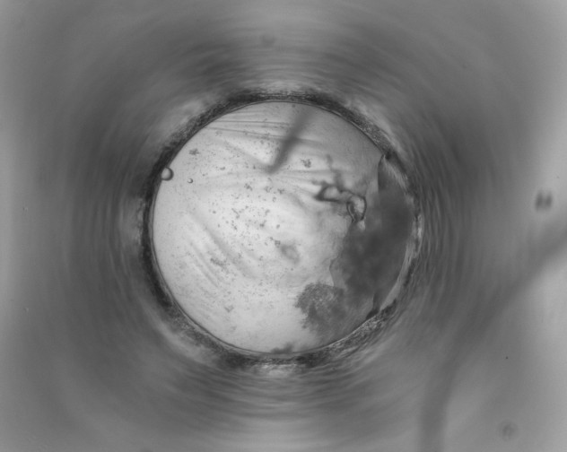 X0000090780495200708172131