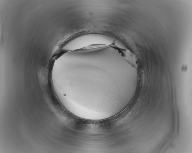 X0000090780496200708172131