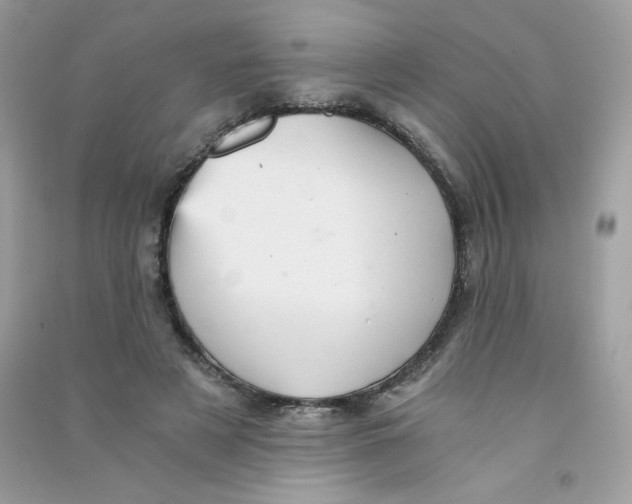 X0000090780497200708172131