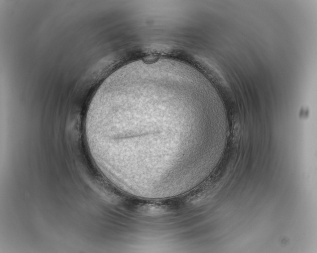 X0000090780498200708172131